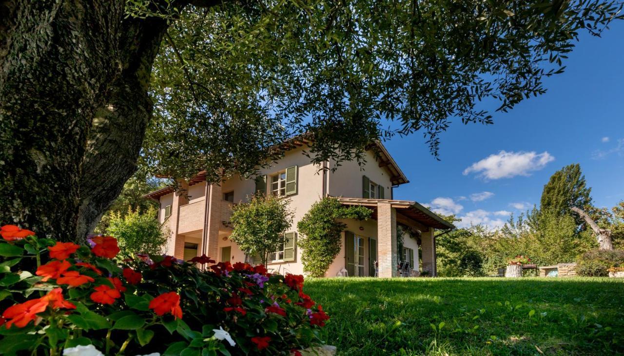 Altra Meta B&B Γκούμπιο Εξωτερικό φωτογραφία